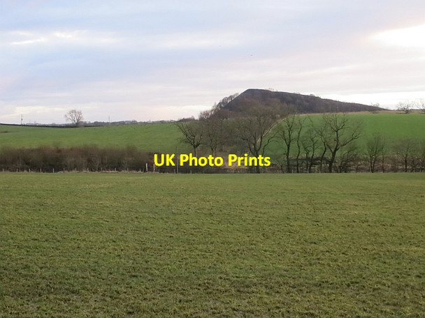 Photo 6"x4" Braes of Yetts Rosebank\/NS6773 c2014