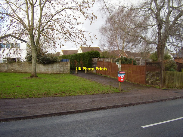 Photo 6"x4" Footpath behind the houses Dog Village c2014