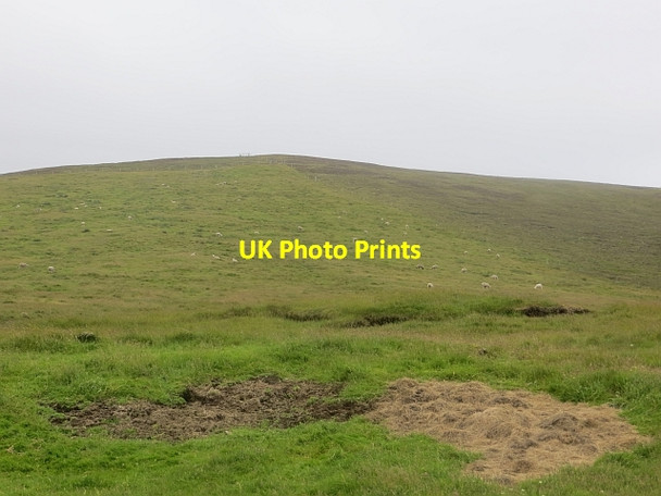 Photo 6"x4" Mid Field Braehoulland c2013