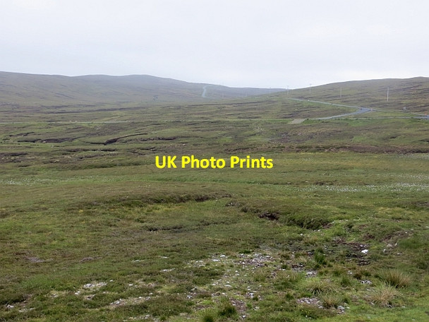 Photo 6"x4" Bog, Burn of Holligarth Gossabrough c2013