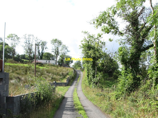 Photo 6"x4" Back road in the Ralaghan Townland Madabawn c2013