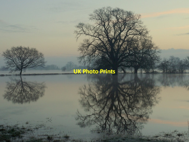 Photo 6"x4" Flooded Tirley Marsh, 2014, 1 Tirley c2014