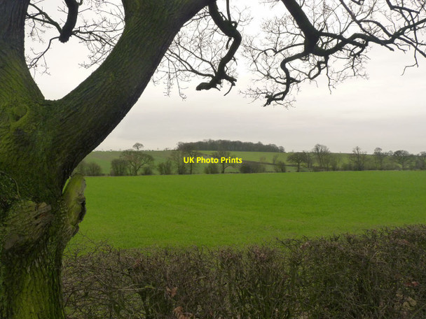 Photo 6"x4" View towards Flint Hill Widmerpool c2014