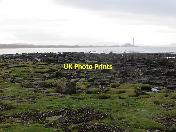 Photo 6"x4" Ferny Ness Longniddry c2014