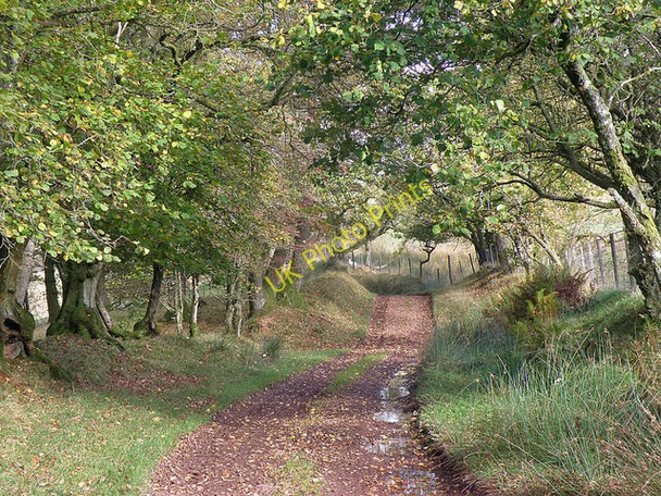 Photo 6"x4" Footpath near Llanfihangel Nant Bran Llanfihangel Nant Bran c2008