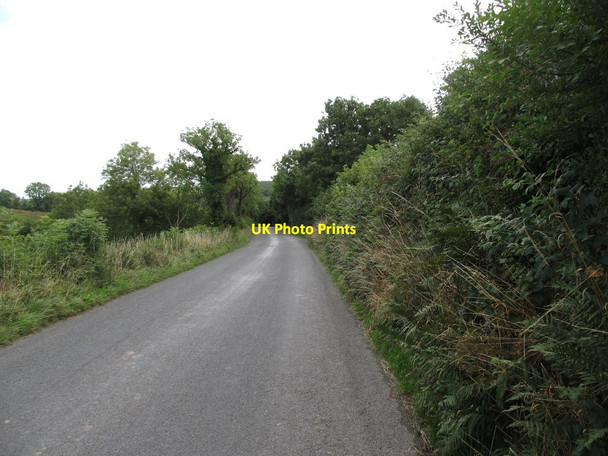 Photo 6"x4" View east along the L3505 Canningstown c2013