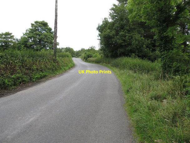 Photo 6"x4" View eastwards along the L3505 Canningstown c2013