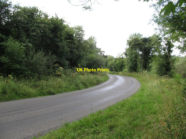 Photo 6"x4" The tree-lined L3505 east of Canningstown Canningstown c2013