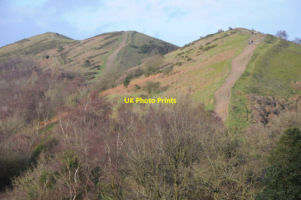Photo 6"x4" On the spine of the Malvern Hills Brand Green\/SO7641 c2014