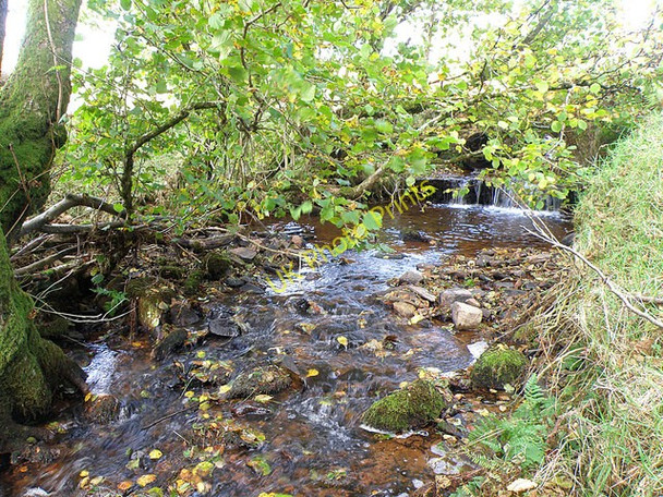 Photo 6"x4" Cwm Erchan Llanfihangel Nant Bran c2008