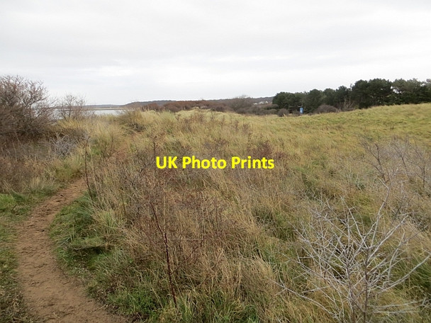 Photo 6"x4" Coast path, Longniddry Longniddry c2014 P1