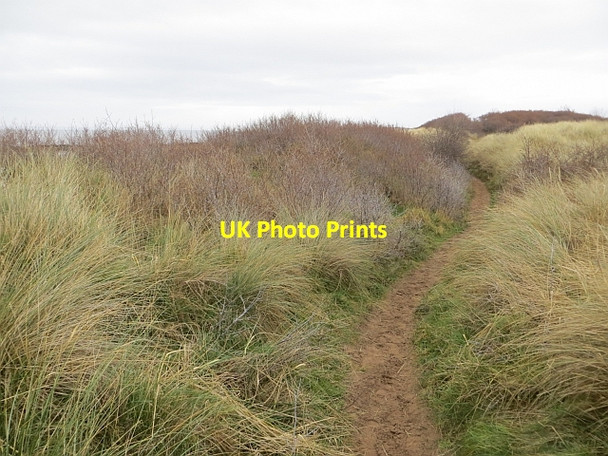 Photo 6"x4" Coast path, Longniddry Longniddry c2014 P2