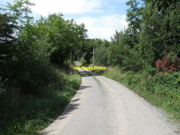 Photo 6"x4" View north along the Killaliss Road Drumeague c2013