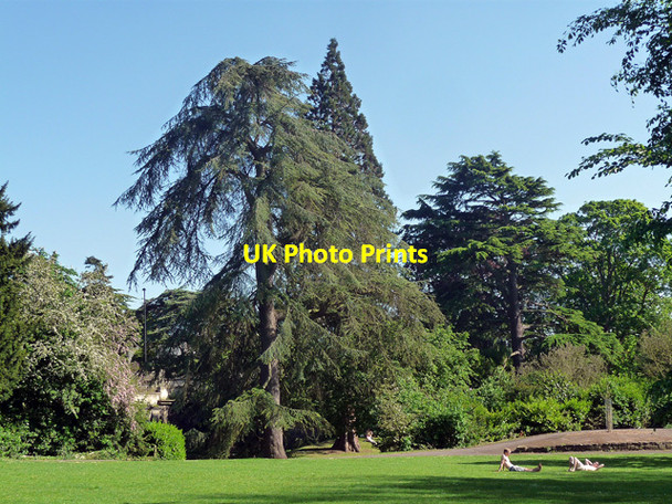 Photo 6"x4" Sydney Gardens, Bath Bath\/ST7464 c2012