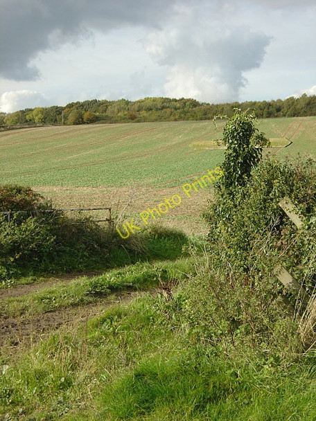 Photo 6"x4" Ivy-covered signpost Lambley\/SK6345 c2008