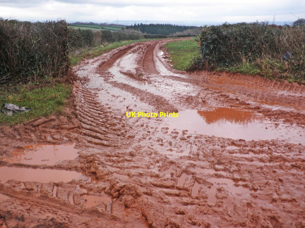 Photo 6"x4" Muddy field entrance Clavelshay c2014