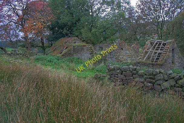 Photo 6"x4" Crow Nest Hawnby c2008