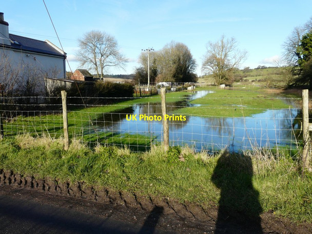 Photo 6"x4" Flooding beside the Gate House North Elham c2014