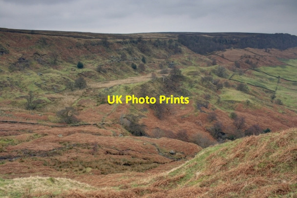 Photo 6"x4" Raven Hill Street\/NZ7304 c2014