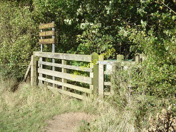 Photo 6"x4" Entry to Ploughman Wood Lambley\/SK6345 c2008