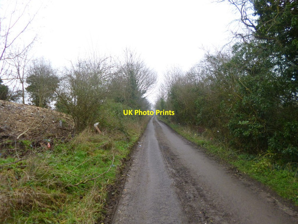 Photo 6"x4" Downton, bridleway Downton\/SU1821 c2014