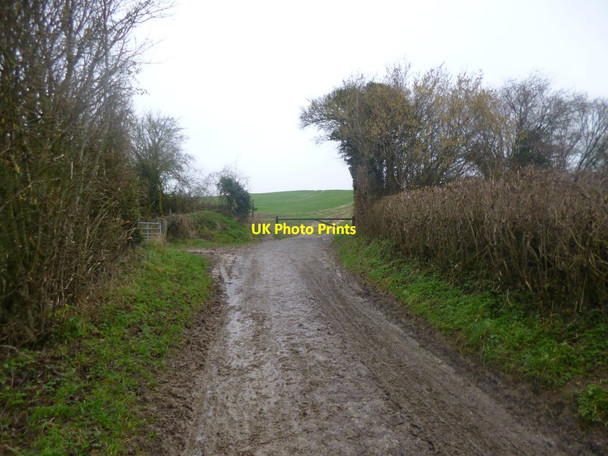 Photo 6"x4" Barford Down, gateway Morgan's Vale c2014