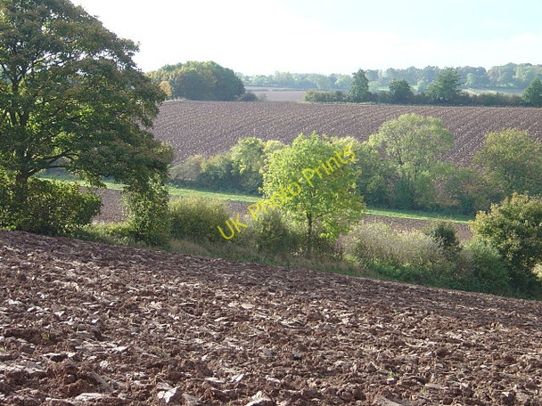 Photo 6"x4" Fresh tilth Lambley\/SK6345 c2008