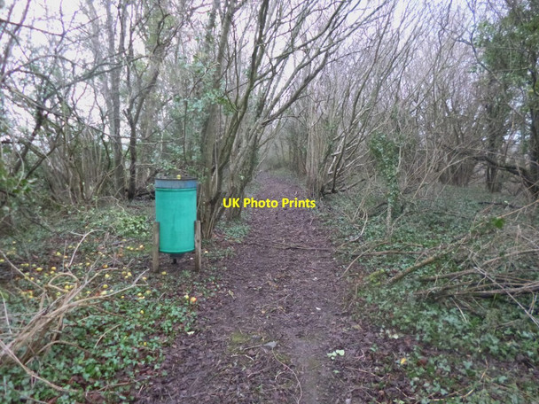 Photo 6"x4" Barford, bird feeder Morgan's Vale c2014