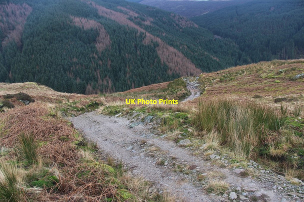 Photo 6"x4" Gleann Laoigh Conchra\/NS0288 c2014