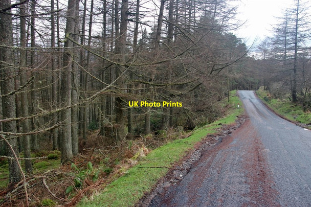 Photo 6"x4" B836 in Glen Tarsan Glentarsan Burn c2014