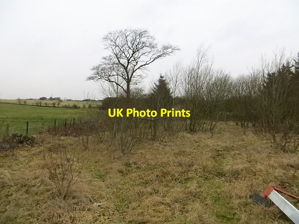 Photo 6"x4" Industrial site, Bridgehouse Armadale\/NS9368 c2014