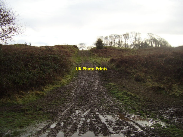 Photo 6"x4" Entrance to Dumpton hillfort Beacon\/ST1705 c2014