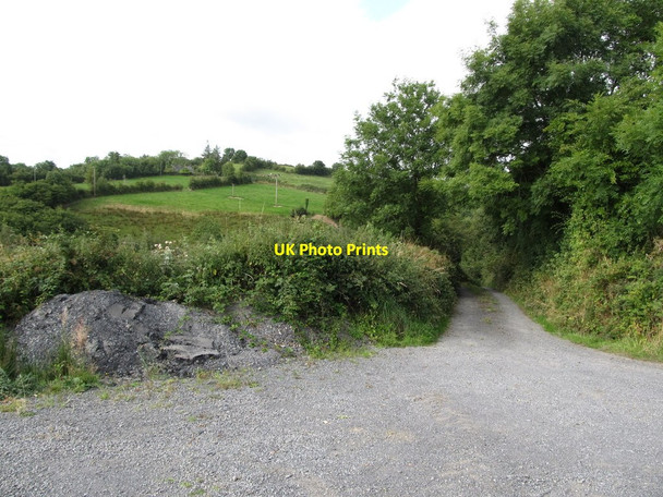Photo 6"x4" Field access road in Ralaghan TD Madabawn c2013