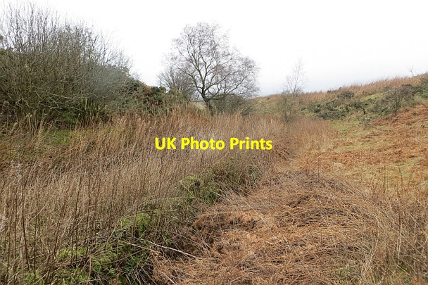 Photo 6"x4" Scrubby reentrant, Glenlomond Glenlomond c2014