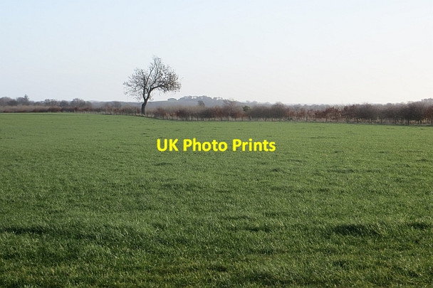 Photo 6"x4" Farmland near New Haggerston Haggerston\/NU0443 c2014