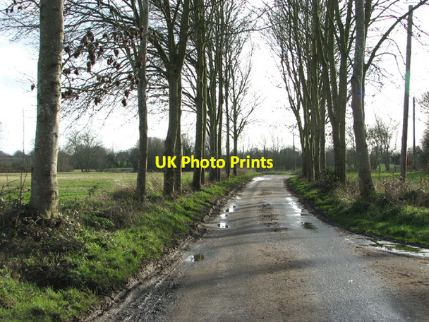 Photo 6"x4" Tooks Common Lane past Little Common Ilketshall St Andrew c2014