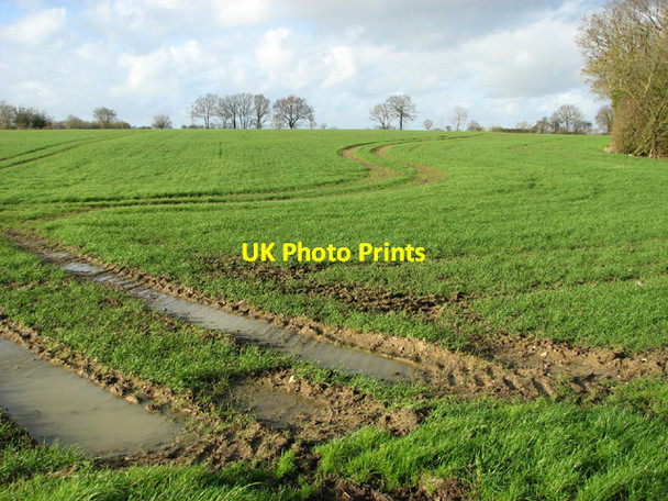 Photo 6"x4" Field beside Hall Road Ilketshall St Andrew c2014 P1