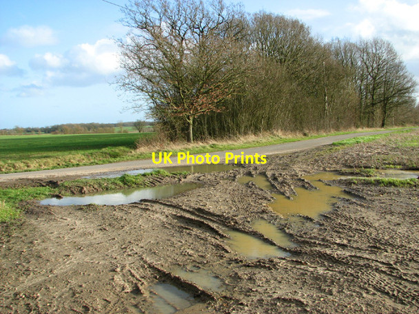 Photo 6"x4" Hall Road by Furze Common Ilketshall St Andrew c2014