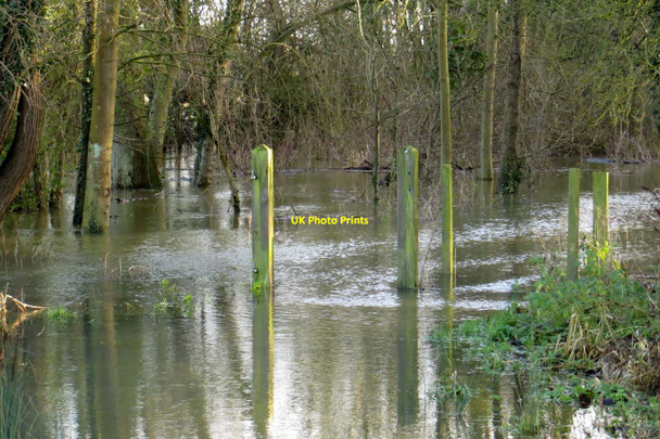 Photo 6"x4" Flooded cycleway near Kennington Kennington\/SP5202 c2014