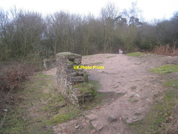 Photo 6"x4" The remains of South Lodge Scunthorpe c2014