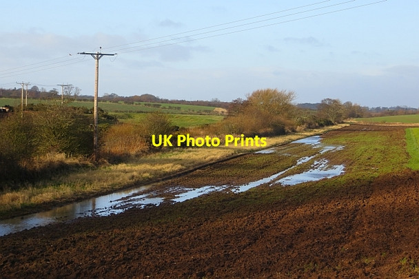 Photo 6"x4" North Low Cheswick Buildings c2014