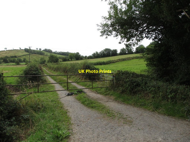 Photo 6"x4" Gated farm access lane in the Townland of Kilnacrew Canningstown c2013