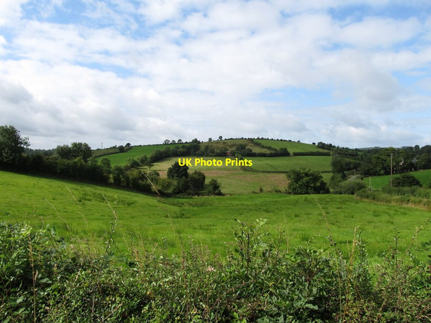 Photo 6"x4" Drumlin in the townland of Kilnacrew Canningstown c2013