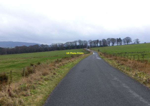 Photo 6"x4" Road approaching Dueshill Farm Holystone c2014