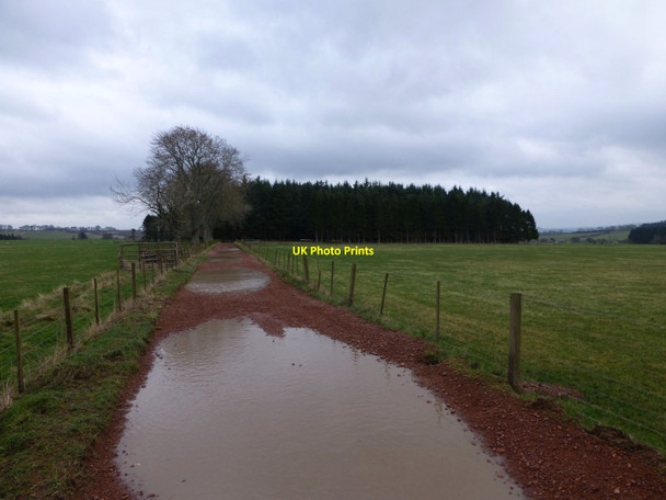 Photo 6"x4" Deep puddles on the track to Harbottle Grange Burradon\/NT9806 c2014