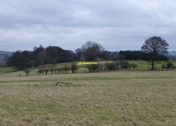Photo 6"x4" Burradon Windyside Farm Burradon\/NT9806 c2014