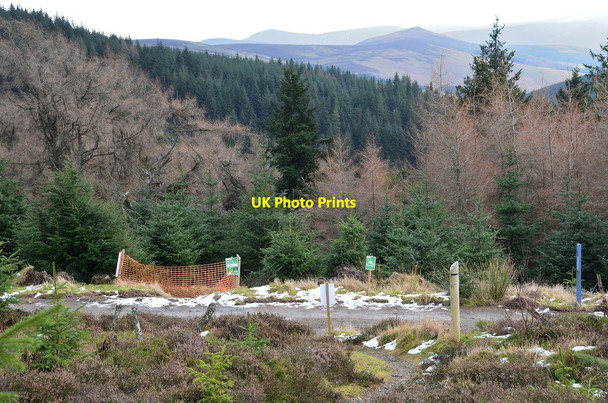 Photo 6"x4" Path diversion, Glentress Forest Glentress\/NT2839 c2014