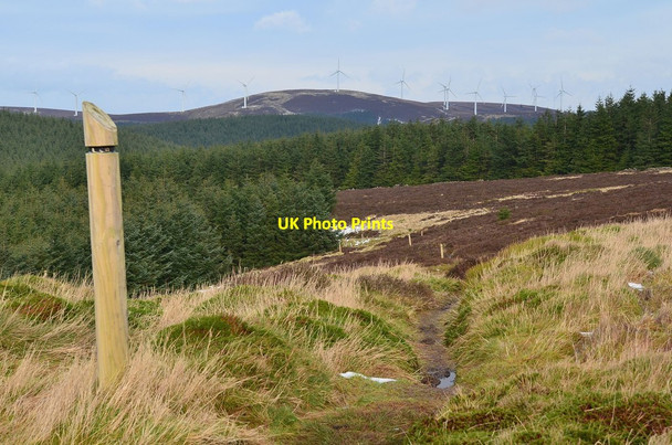 Photo 6"x4" Tower Trail and turbines, Dunslair Heights Williamslee c2014