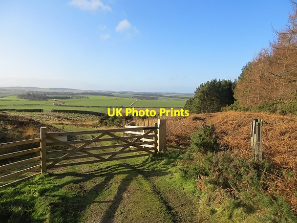 Photo 6"x4" Gate near Holburn Holburn c2014