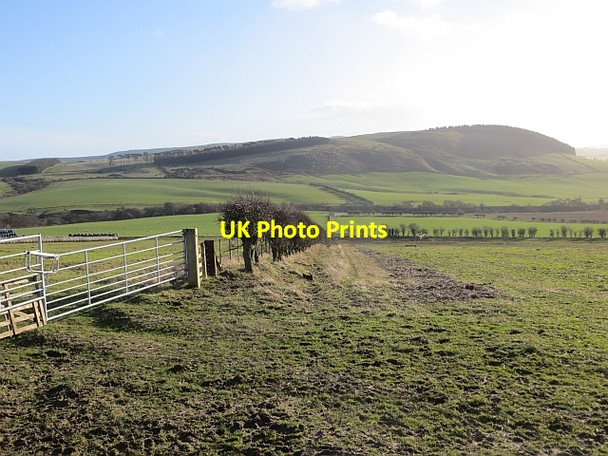 Photo 6"x4" Fields, Lyham Greendykes\/NU0628 c2014